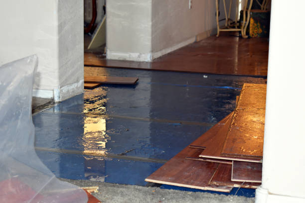 Professional Flood Cleanup technician working in Georgetown, CT